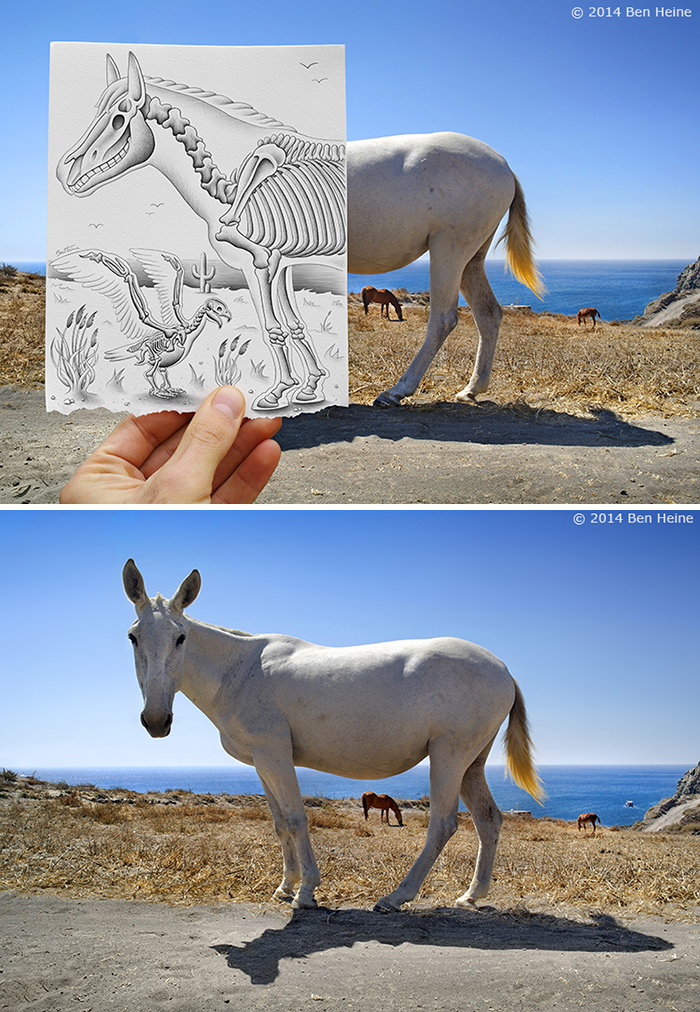 What's Behind The Paper?