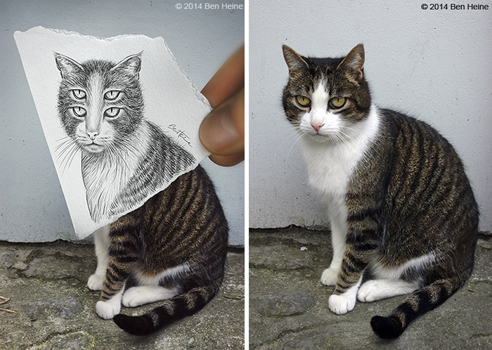 What's Behind The Paper?