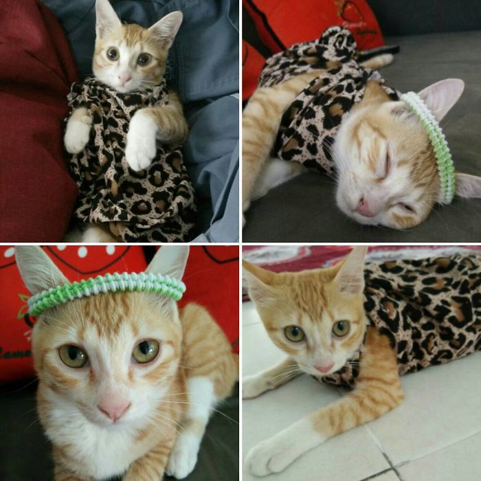 My Princess Daisy Love This Outfit