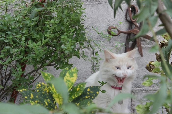 She's A Maniac... But I Love Her!