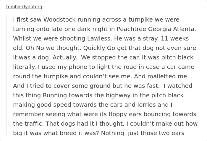 Tom Hardy Posts Emotional Tribute For His Dog Who Just Passed Away, And People Are Drowning In Tears Tom Hardy Posts Emotional Tribute For His Dog Who Just Passed Away, And People Are Drowning In Tears