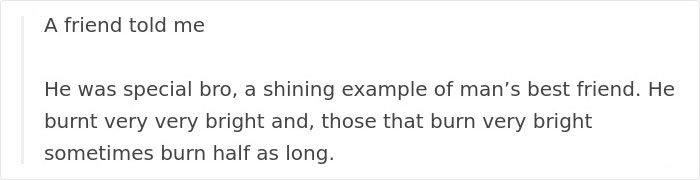 Tom Hardy Posts Emotional Tribute For His Dog Who Just Passed Away, And People Are Drowning In Tears Tom Hardy Posts Emotional Tribute For His Dog Who Just Passed Away, And People Are Drowning In Tears