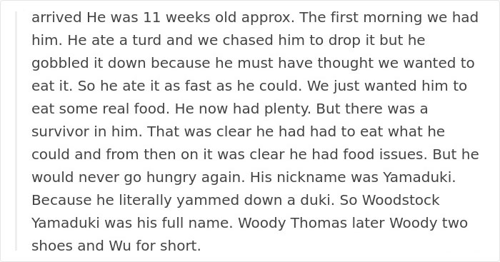 Tom Hardy Posts Emotional Tribute For His Dog Who Just Passed Away, And People Are Drowning In Tears Tom Hardy Posts Emotional Tribute For His Dog Who Just Passed Away, And People Are Drowning In Tears