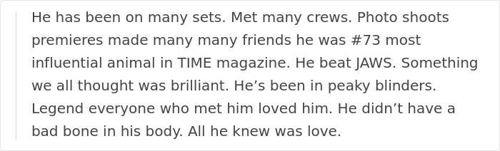 Tom Hardy Posts Emotional Tribute For His Dog Who Just Passed Away, And People Are Drowning In Tears Tom Hardy Posts Emotional Tribute For His Dog Who Just Passed Away, And People Are Drowning In Tears