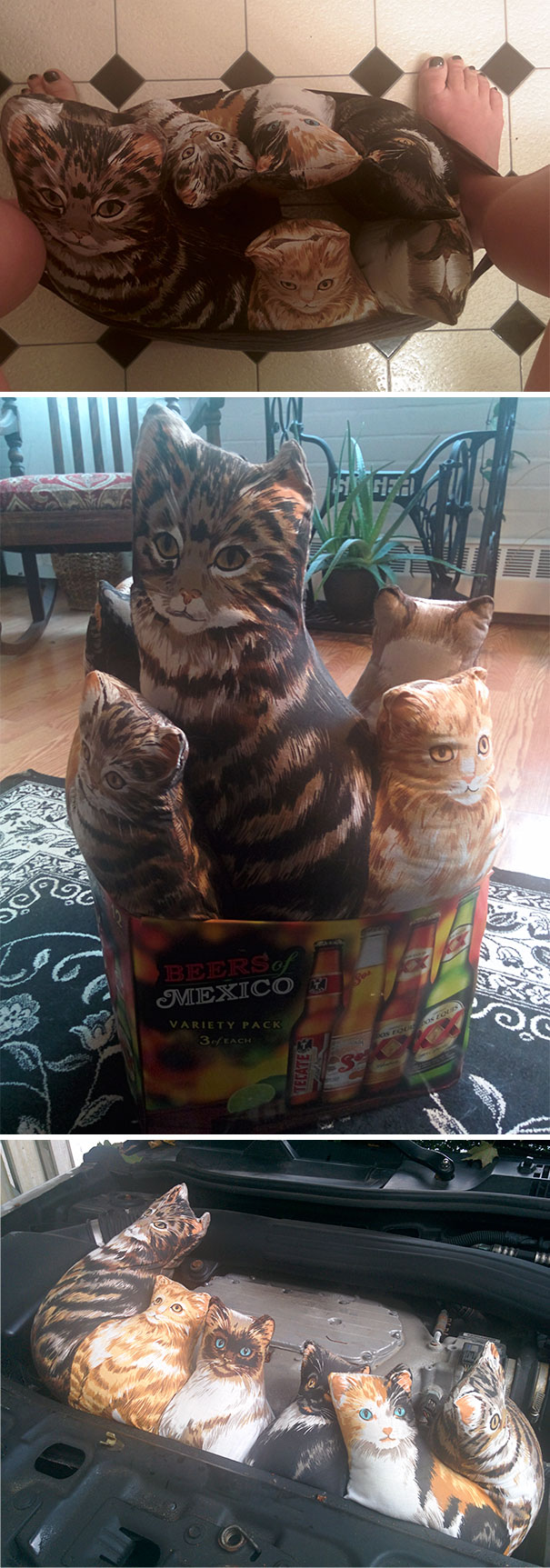 Found These Guys At A Thrift Shop And Decided To Recreate What I Assume It's Like To Have Cats Since I Can't Have Cats Of My Own (Damned Family And Their Allergies)