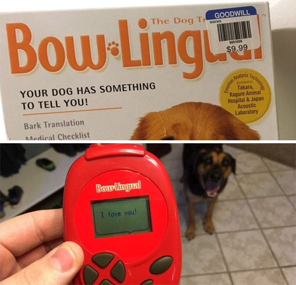 Dog Translator. Worth It