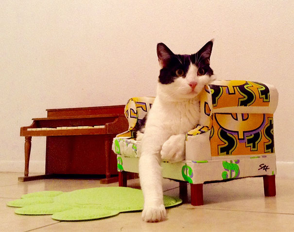 Leveled Up My Crazy Cat Lady Game This Weekend With A Tiny Couch, Toy Piano And Paw-Shaped Rug For $8 At Goodwill