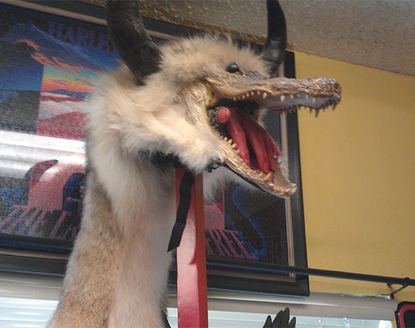 Found This At My Thrift Shop. It's A Bike Helmet