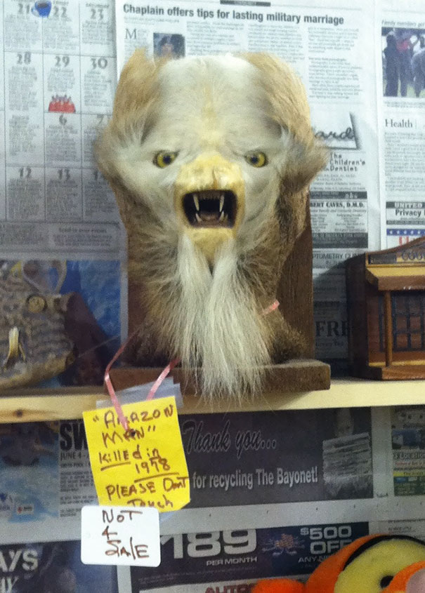 Thrift Shops Never Disappoint