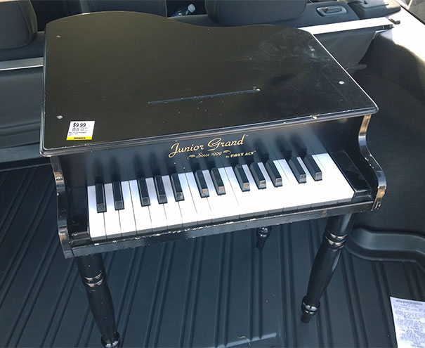 Did I Need It? No. Is It Ten Dollars Of Stupid Goofy Fun? Absolutely