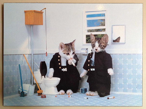 Found This At The Thrift Store Today