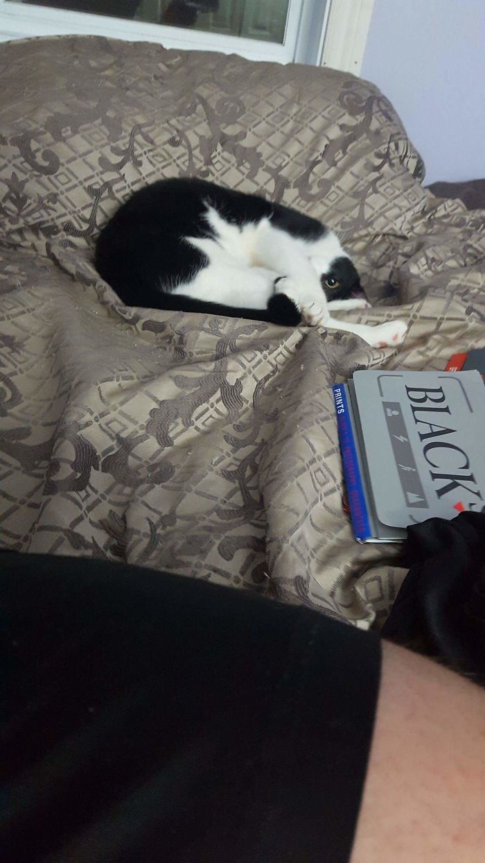 And Just What Are You Thinking?