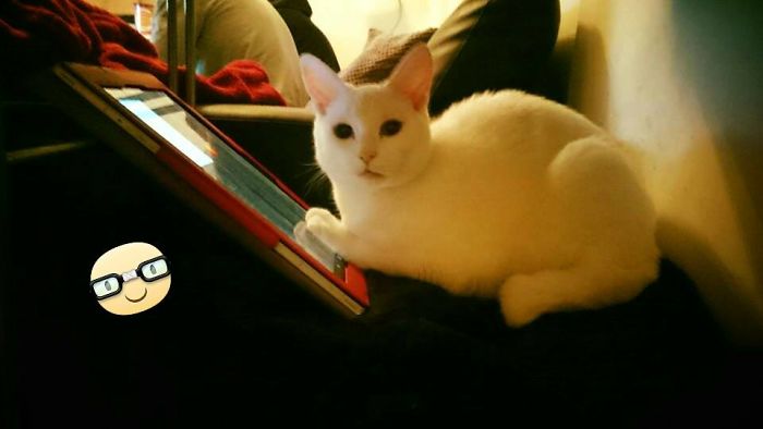 Do Not Disturb, She's Working!