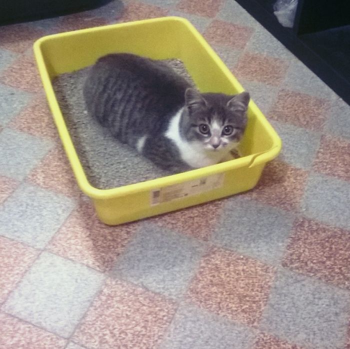 What Do You Mean It's Not A Bed?