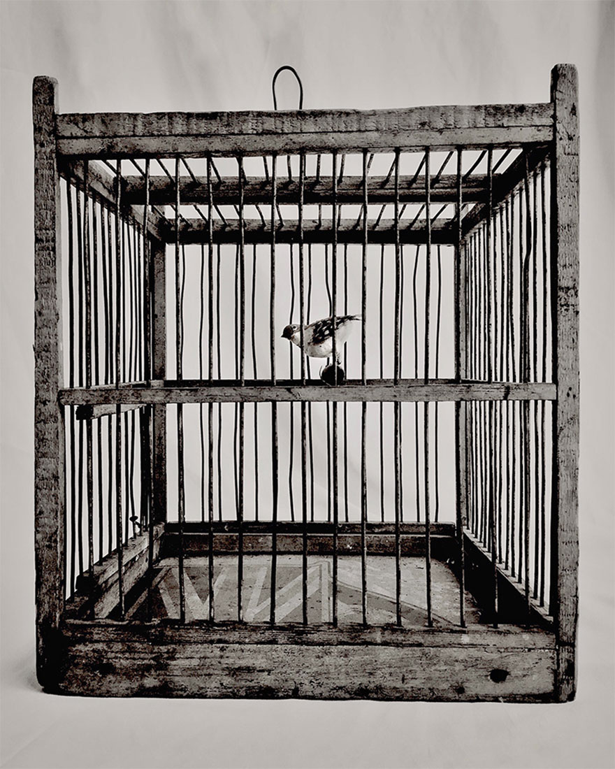 Deena Berton From Weston Ma, United States, 2nd Place, Still Life