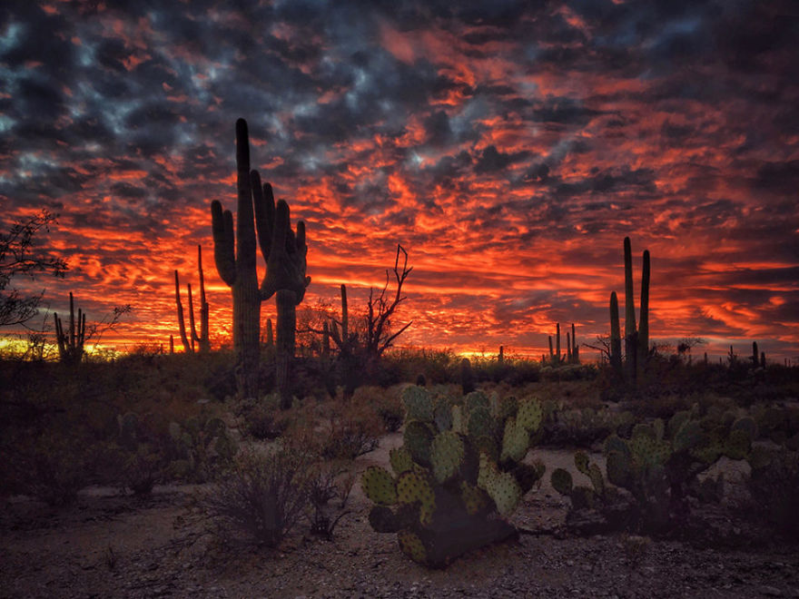 Joseph Cyr From Tucson Az, United States, 3rd Place, Sunset