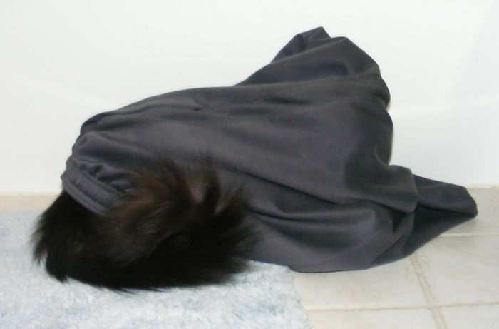 Hiding In Track Pants