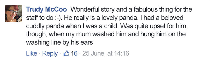 boy-write-note-buy-stuffed-panda-leon-ashworth-10