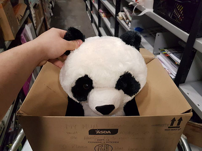 boy-write-note-buy-stuffed-panda-leon-ashworth-2 boy-write-note-buy-stuffed-panda-leon-ashworth-2