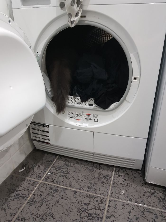 Almost Invisible..spent Ages Searching For Her