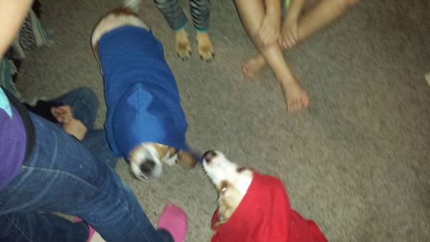 The Hound Sisters About To Drop A Beat