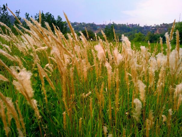 #bored Panda #scenic