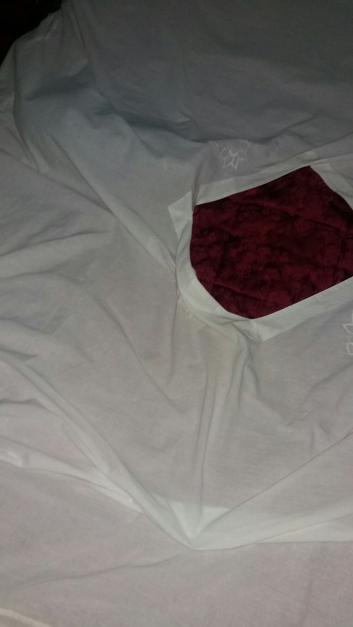 I Didn't Knew Where My Cat Was For About 20 Minutes😅