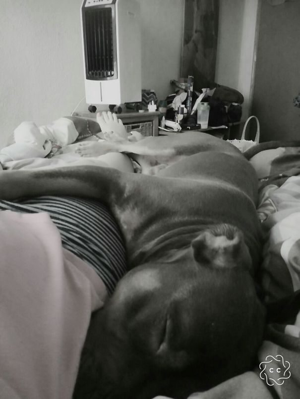 His Preferred Way Of Napping...