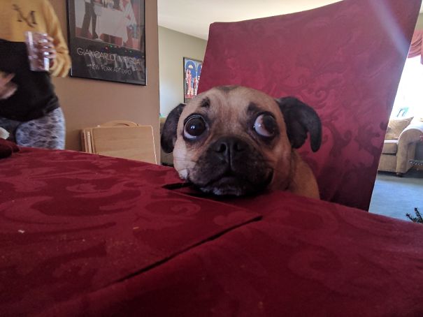 But I Want To Be Where The People Are...where The Food Is...at The Dinner Table