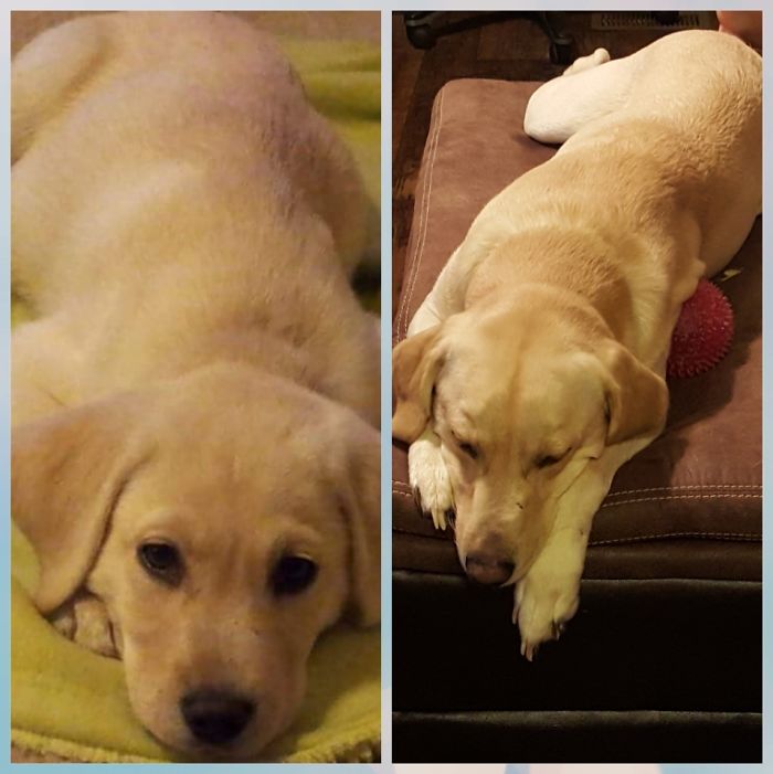 Laying Here And Pouting For Years To Come