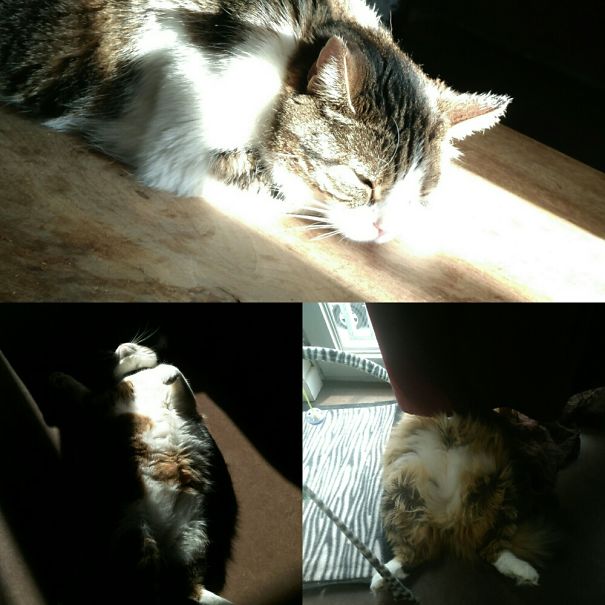 My Girls Enjoying The Sun ❤