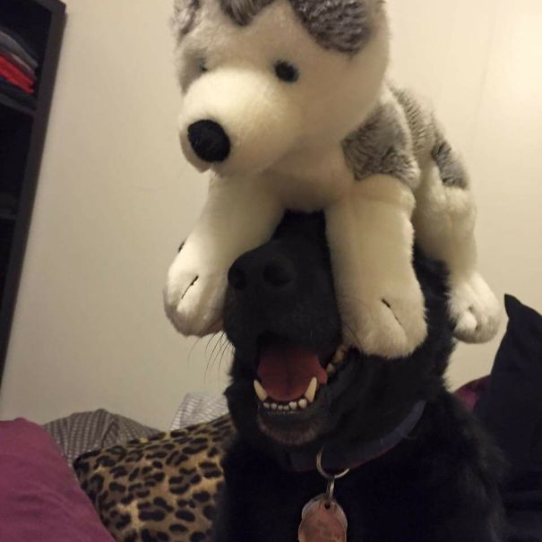 Ge Sits With Things On His Head. Not Sure Why.