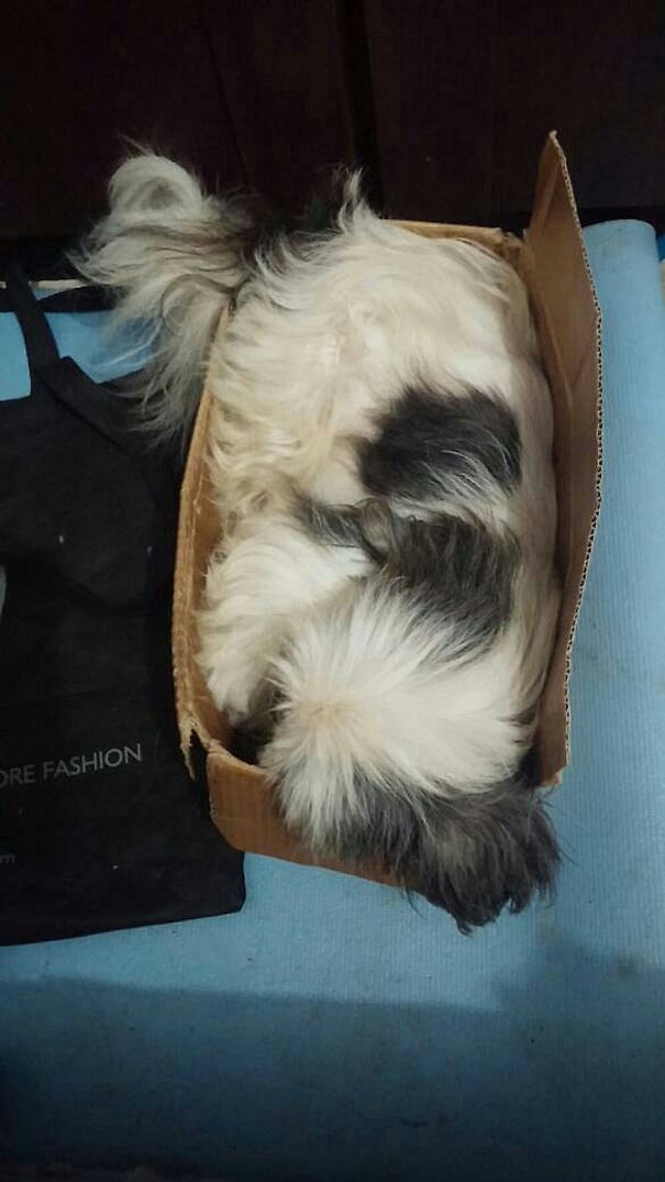 If I Fit, I Sleep