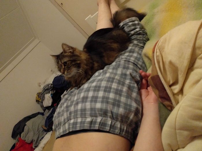 You Were Giving Him A Massage? Let Me Help!