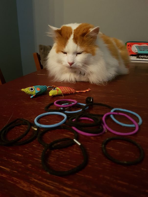 Found His Stash Under The Sofa Whilst Cleaning!