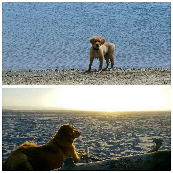 8 Years Of The Good Life