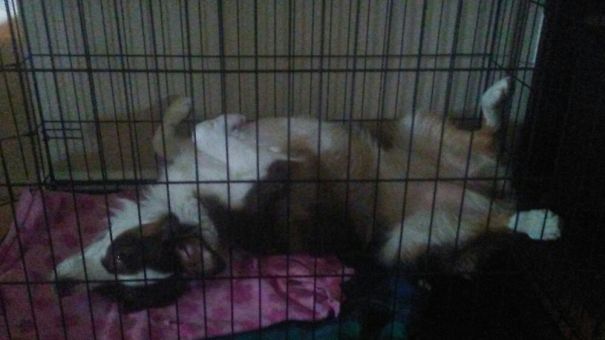 She Does This When She's Bored