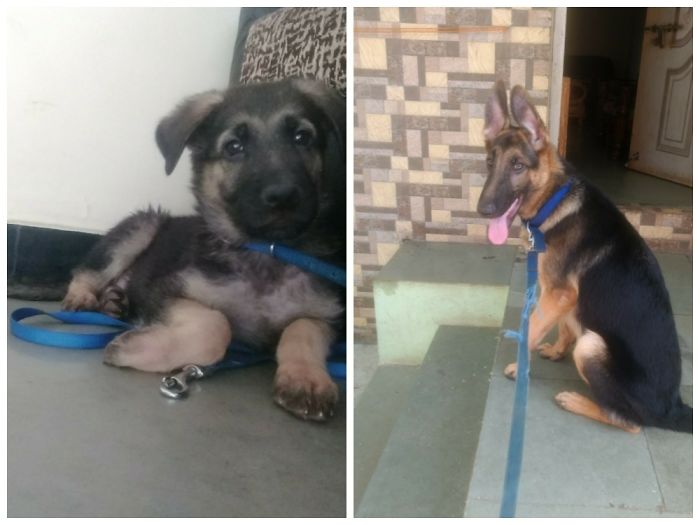 Shadow From 40 Days To 6 Months