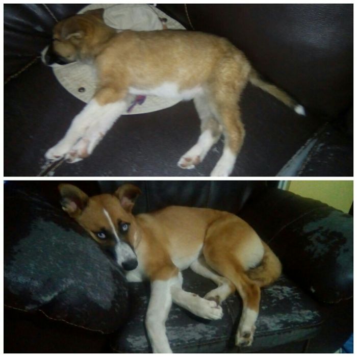 2 Months | 6 Months ♥