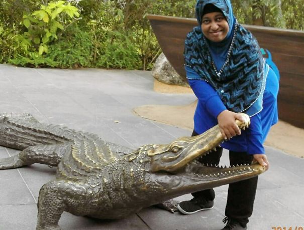 Taming The Crocodile