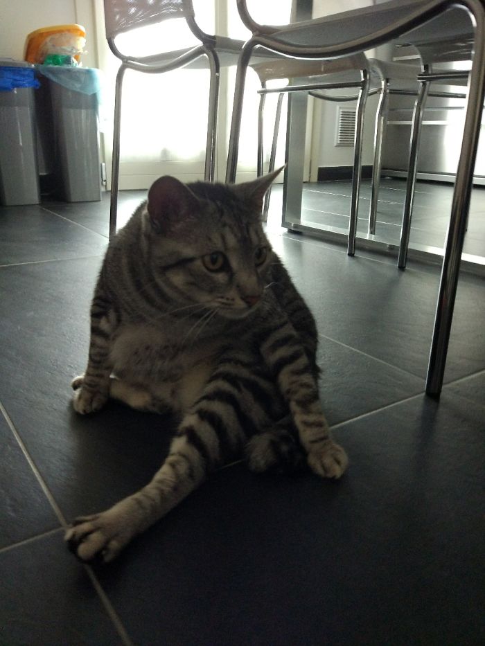 Morning Yoga Session For Nina