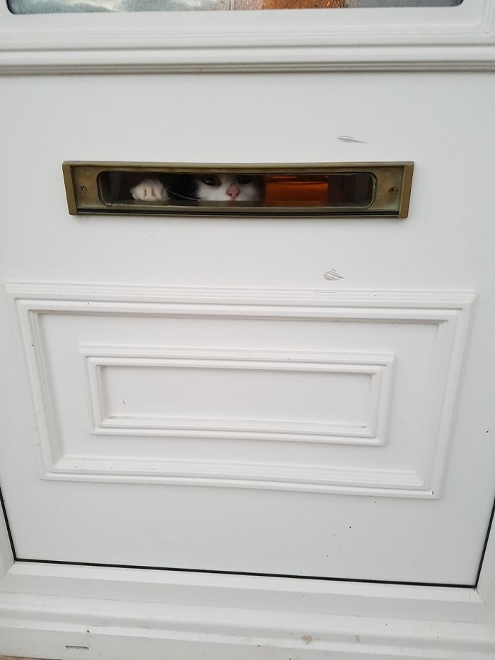 Hey!! Where You Going?