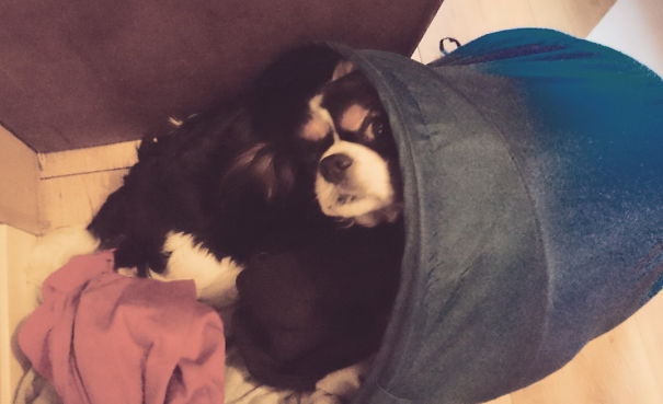 There Was Freshly Washed Clothes In There