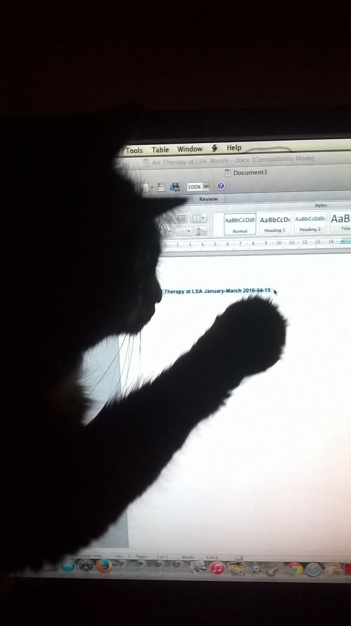Cat Won't Let Me Work...