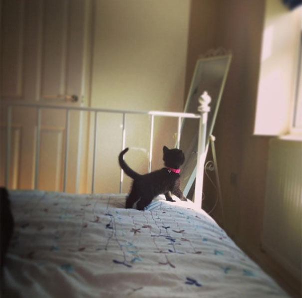 The Sun Came Out And Penny Just Stared At It