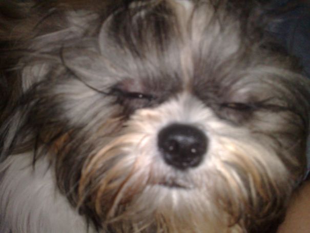 She's So Sleepy That She Looks Like She Just Went To A Pot Session.