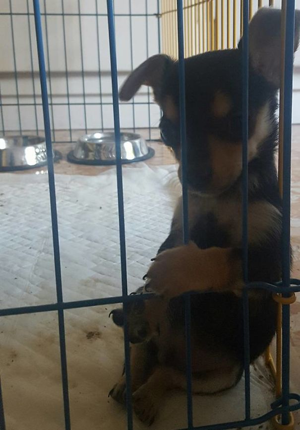 Coco Is Too Hard To Cry Behind The Bars!