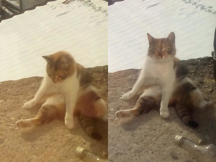 Sometimes, She Is Just Sitting Like This :-)