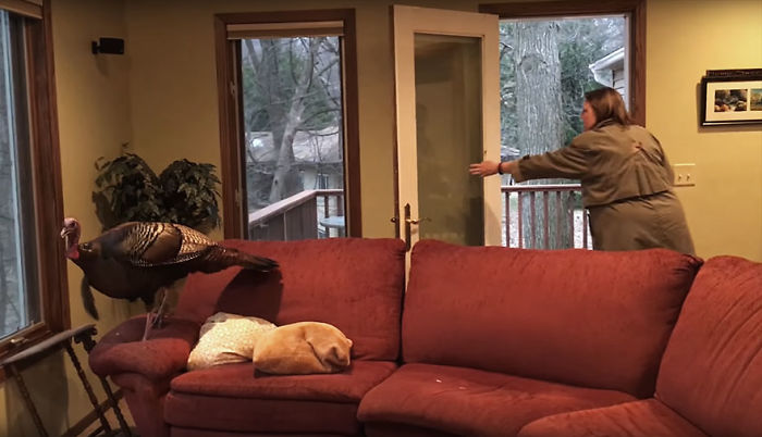 Couple Returns Home From Vacation, And Finds Unexpected Guest Inside