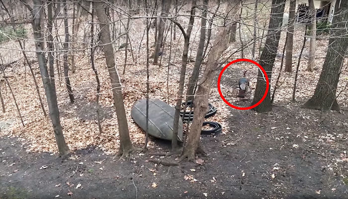 Couple Returns Home From Vacation, And Finds Unexpected Guest Inside